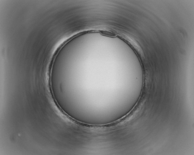 X0000112170944200908070957