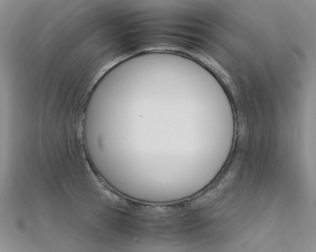 X0000112170945200908070957