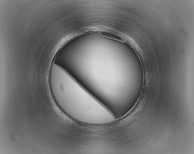 X0000112170946200908070957