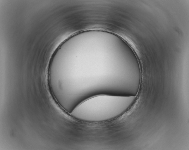 X0000112170949200908070957