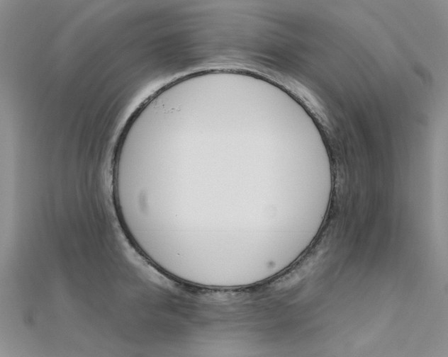 X0000112170950200908070957