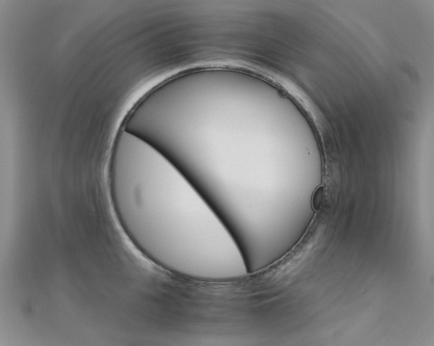 X0000112170951200908070957
