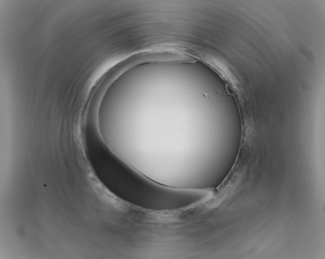 X0000112170952200908070957