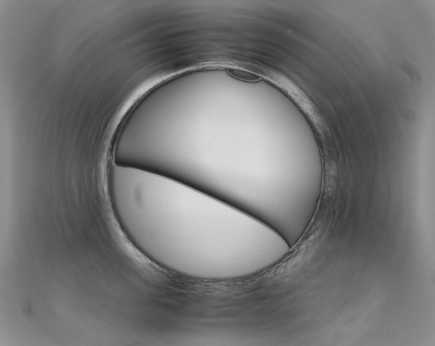 X0000112170955200908070957