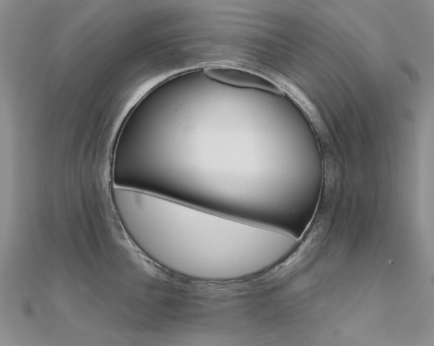 X0000112170956200908070957