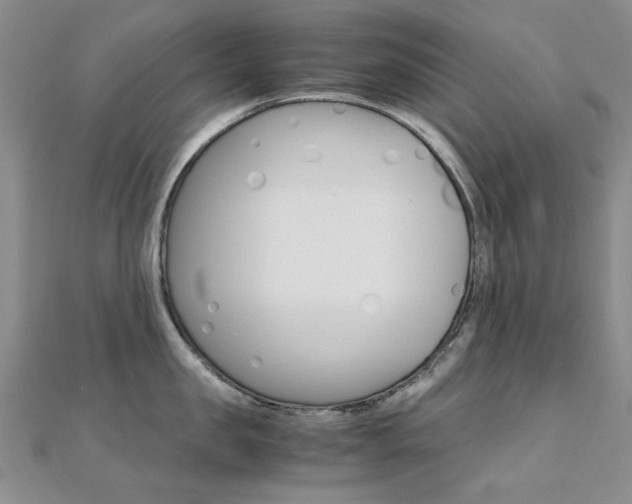 X0000112170957200908070957