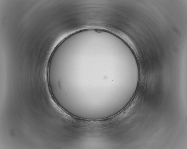 X0000112170958200908070957