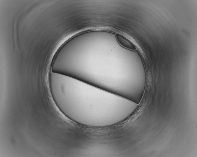 X0000112170959200908070957