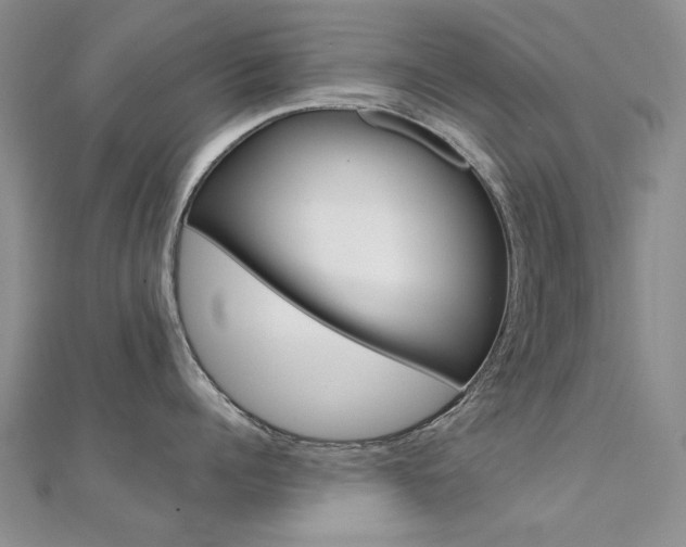 X0000112170960200908070957