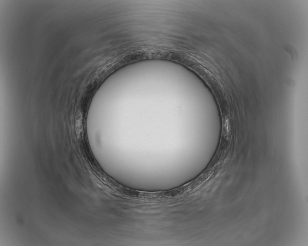 X0000112170963200908070956