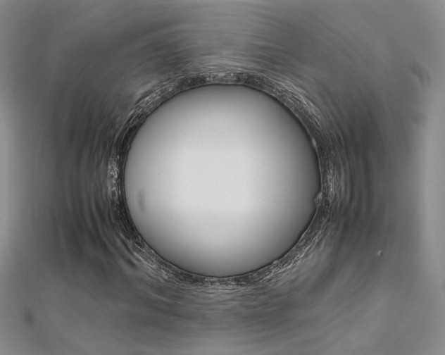 X0000112170964200908070956