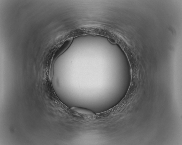 X0000112170965200908070956