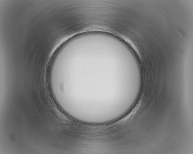 X0000112170973200908070956