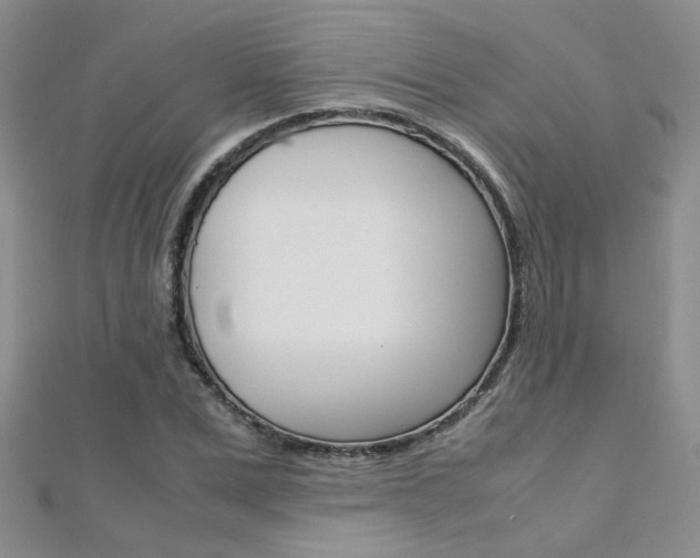 X0000112170975200908070956