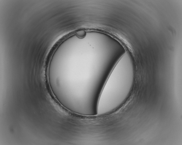 X0000112170976200908070956