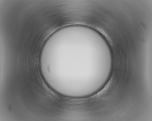 X0000112170977200908070956