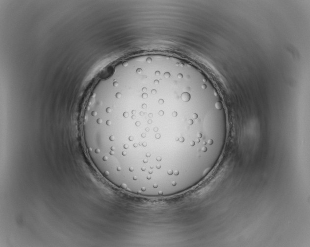 X0000112170978200908070956