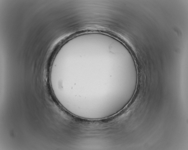 X0000112170979200908070956