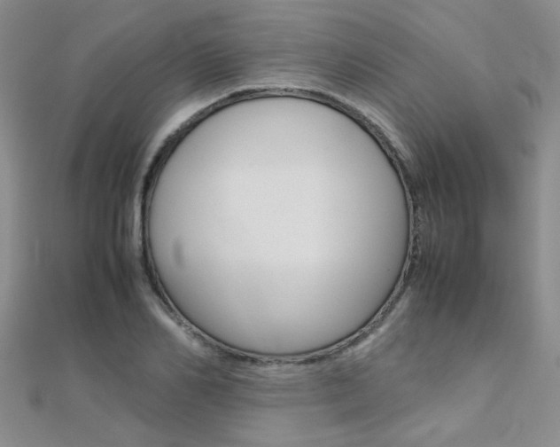 X0000112170982200908070956