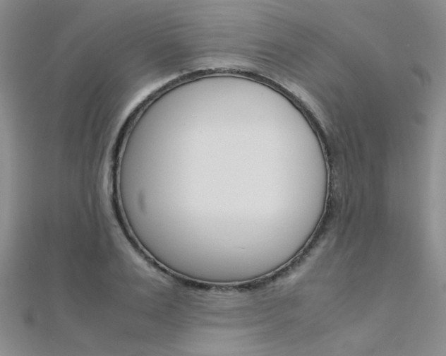 X0000112170983200908070956