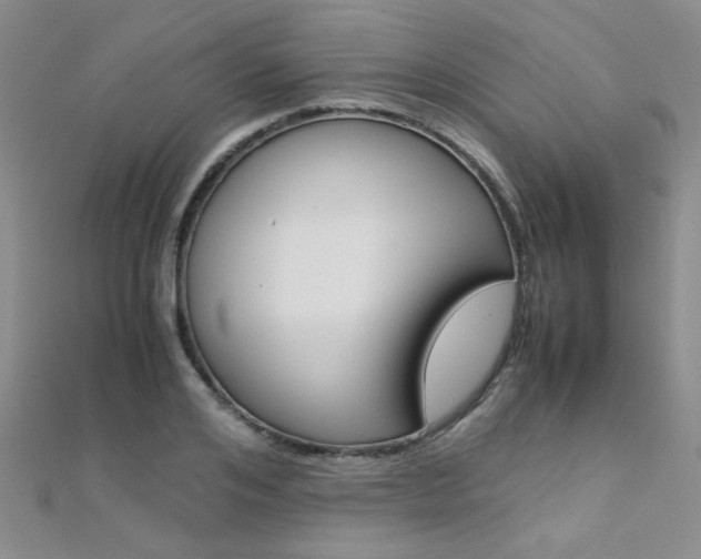 X0000112170984200908070956