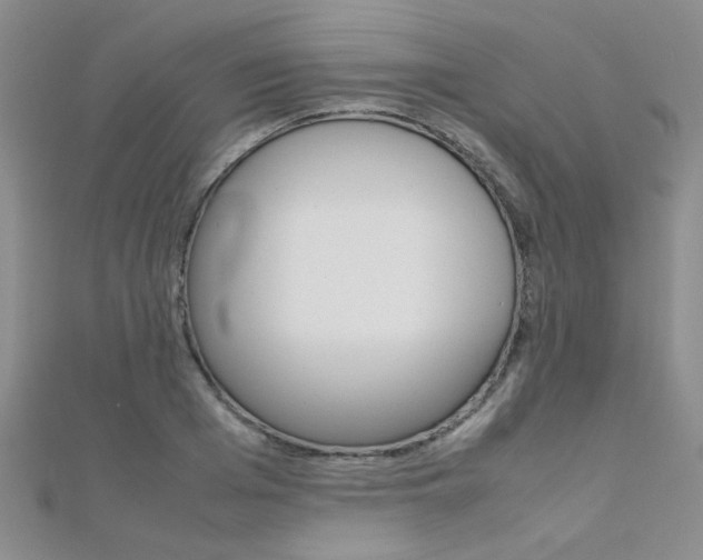 X0000112170985200908070956