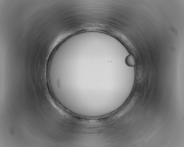 X0000112170986200908070956