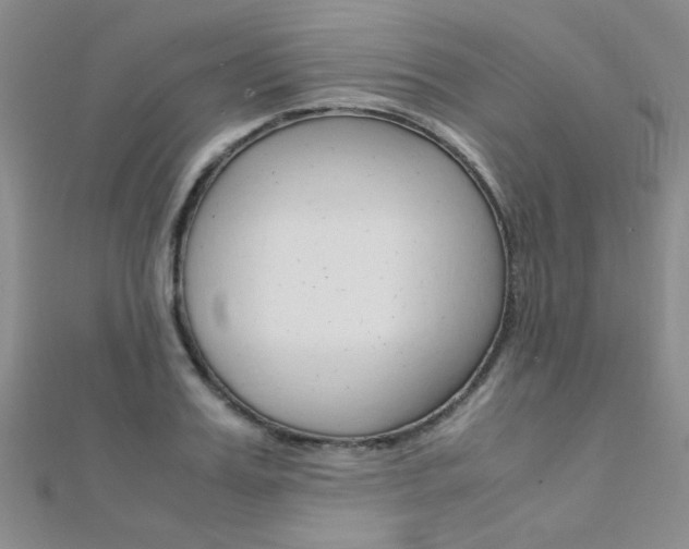 X0000112170987200908070956