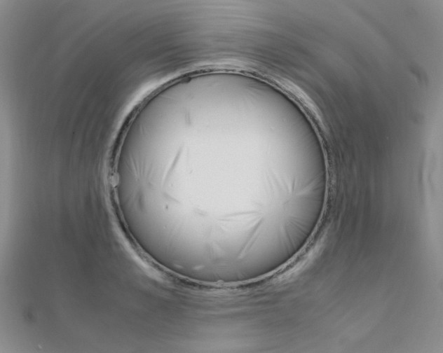 X0000112170989200908070956