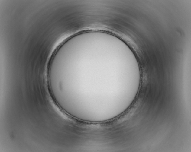 X0000112170990200908070956