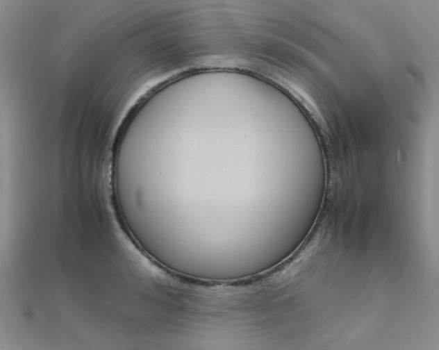 X0000112170992200908070956