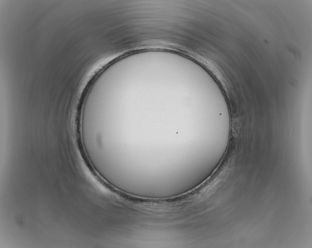 X0000112170995200908070956