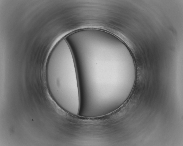 X0000112170996200908070956