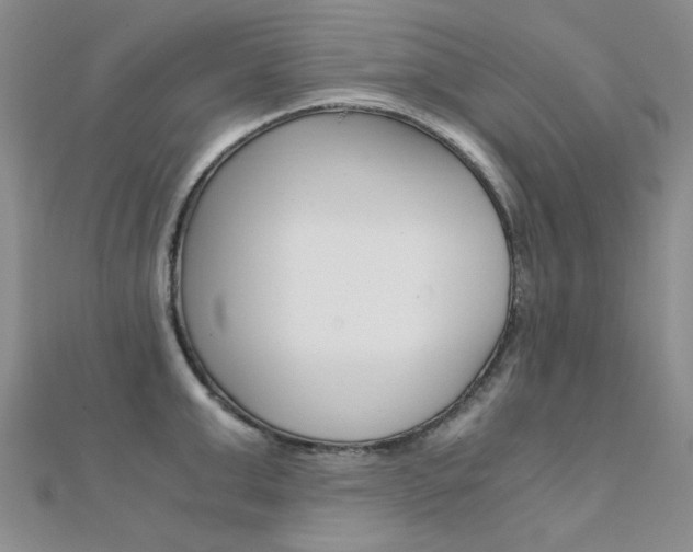 X0000112170999200908070956