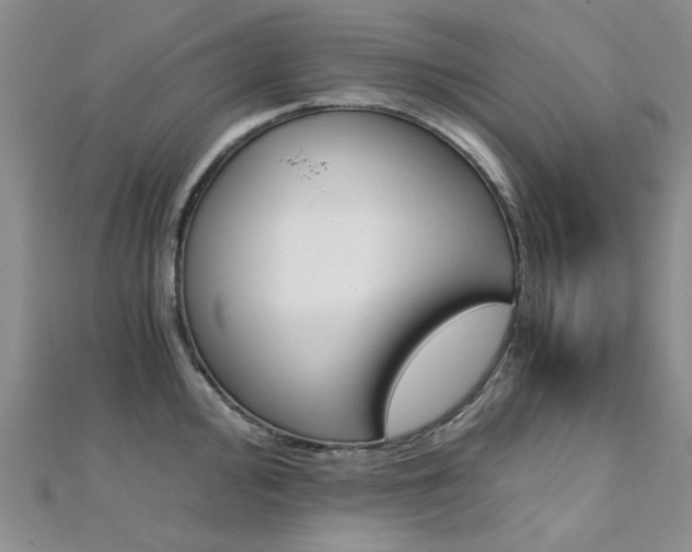 X0000112171000200908070955