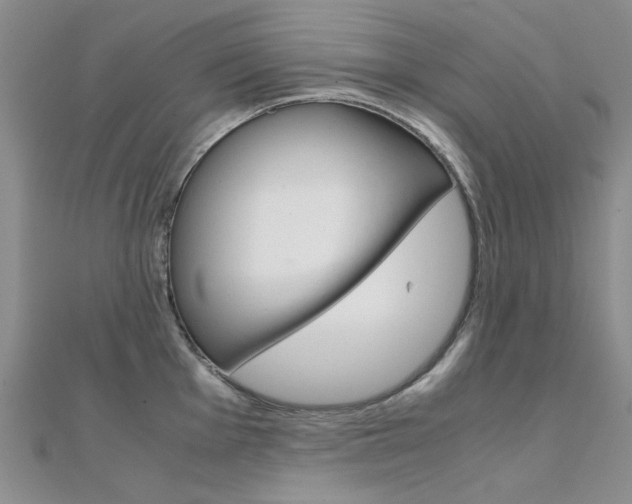 X0000112171001200908070955