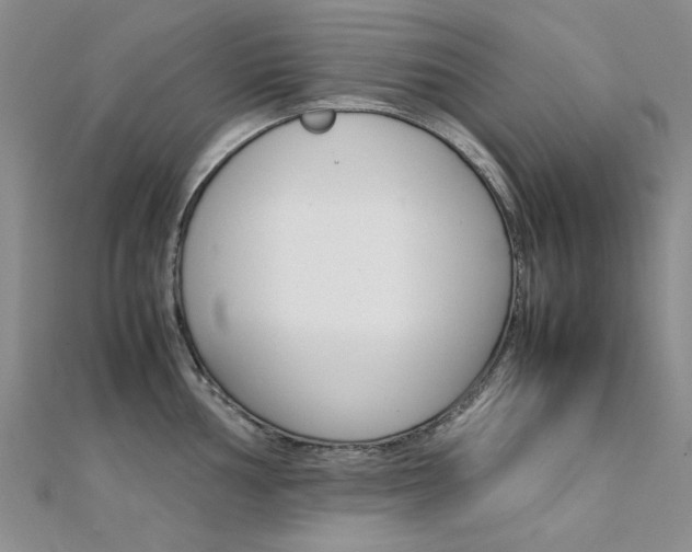 X0000112171002200908070955