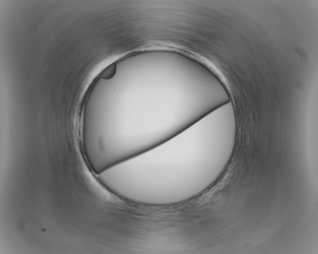 X0000112171003200908070955