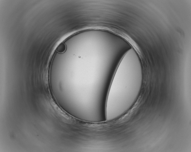 X0000112171004200908070955