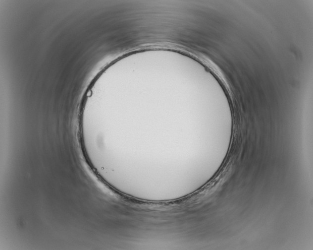 X0000112171005200908070955