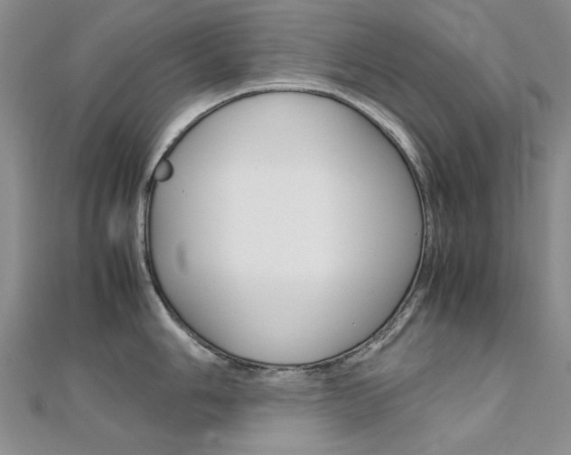 X0000112171006200908070955