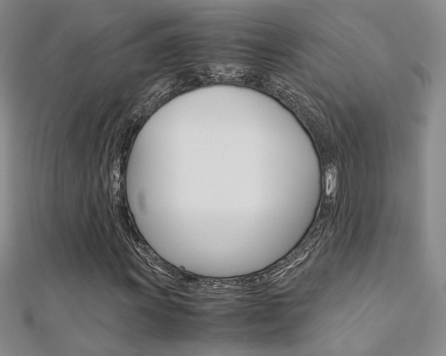 X0000112171011200908070955