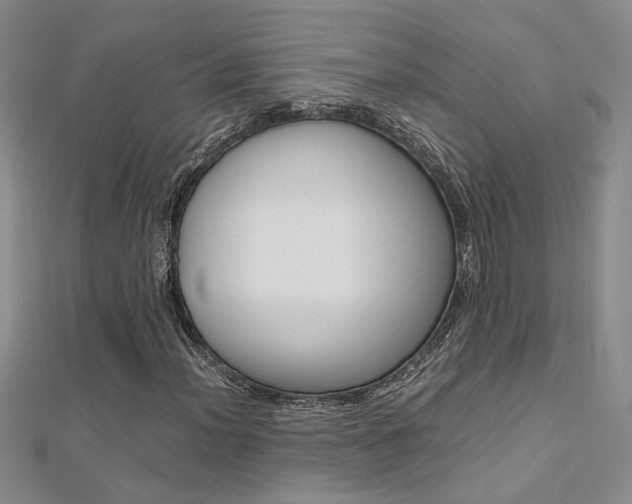 X0000112171012200908070955