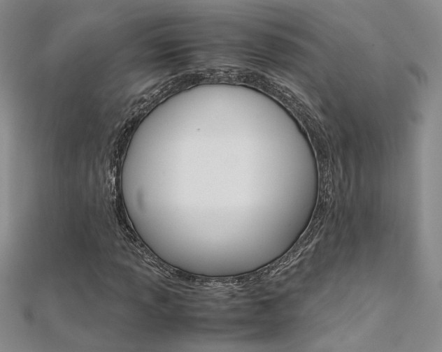 X0000112171013200908070955
