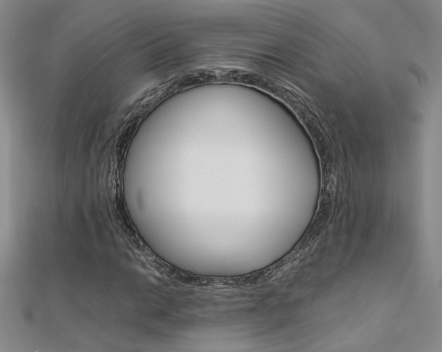 X0000112171014200908070955