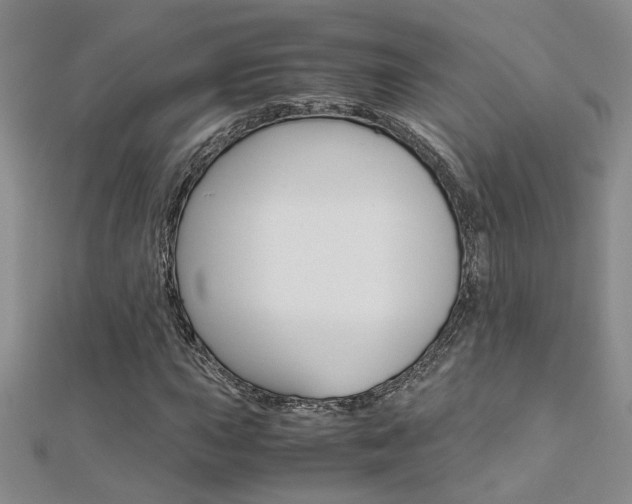 X0000112171015200908070955