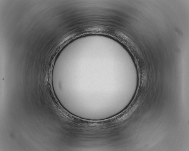 X0000112171017200908070955