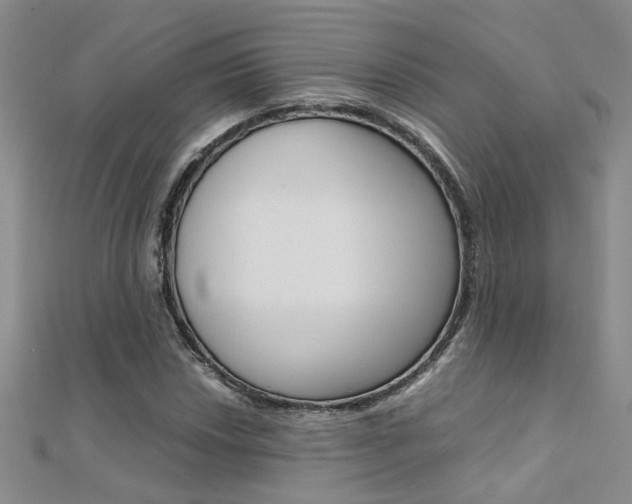 X0000112171018200908070955