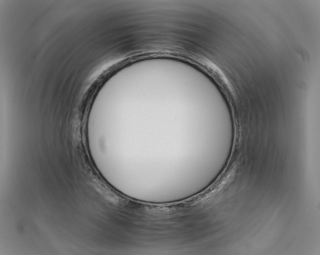 X0000112171019200908070955