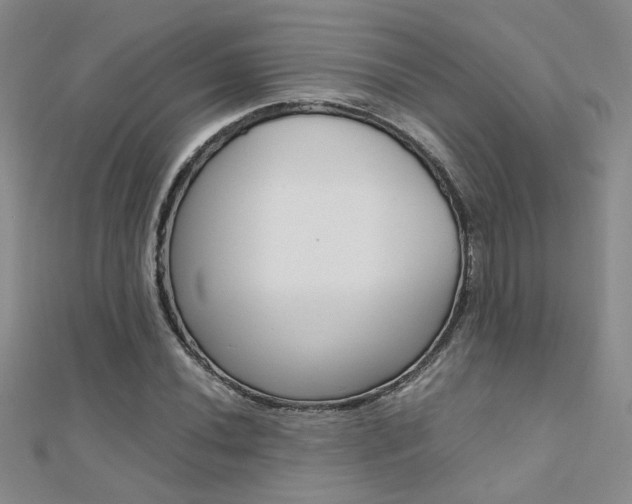 X0000112171020200908070955